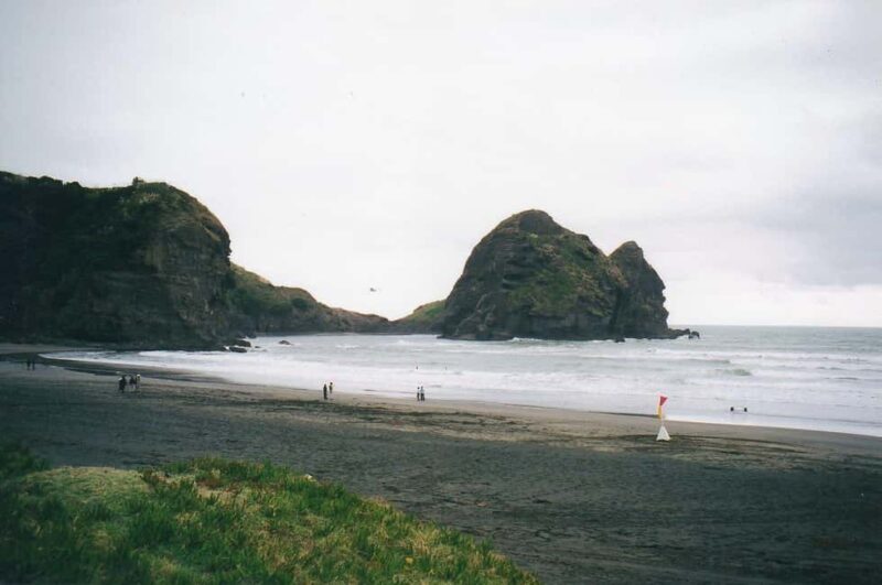 Piha Beach & Wilderness Private Tour: Auckland Half Day Trip - Exploring Auckland’s West Coast: A Comprehensive Look at the Piha Beach & Wilderness Tour
