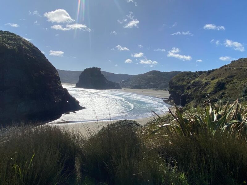 Piha & Karekare - Out of Auckland Private Tour - Why Choose This Tour?