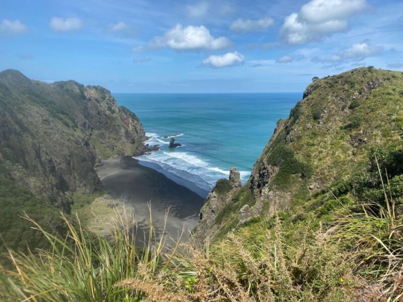 Piha & Karekare - Out of Auckland Private Tour - Final Thoughts: Who Is This Tour Best For?