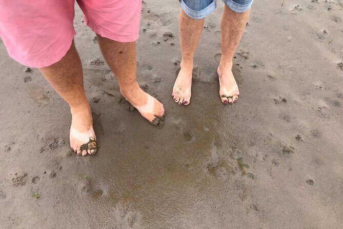 Pilgrims' Path walk across the sands to Holy Island - An In-Depth Look at the Pilgrims Path Tour