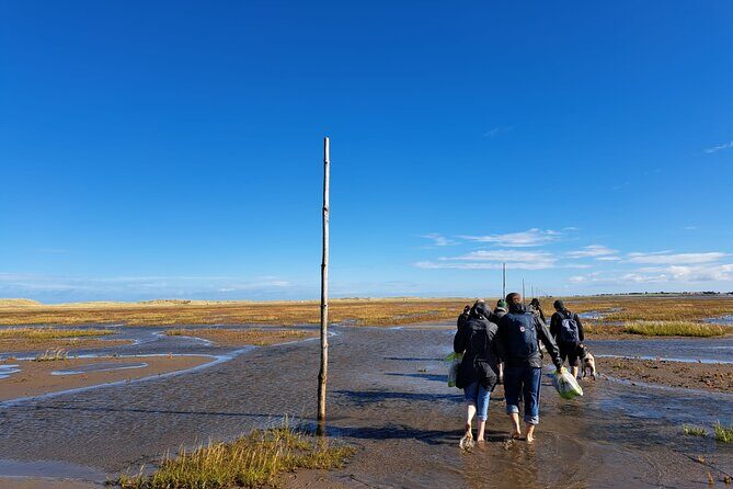 Pilgrims' Path walk across the sands to Holy Island - The Sum Up