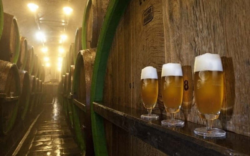 Pilsner Brewery & Nizbor Glass Factory Combination Tour - What We Like About This Tour