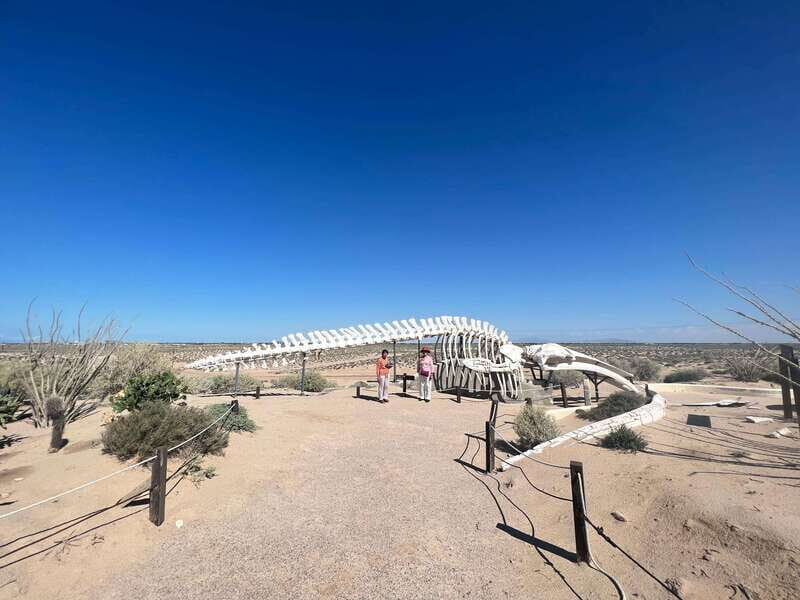 Pinacate: 3-day tour to the craters and surrounding towns - Discover the Magic of Baja California on a 3-Day Pinacate Tour