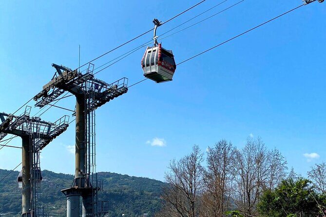 Pinglin Tea Culture & Maokong Day Tour from Taipei - Who Will Love This Tour?