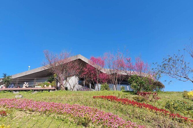 Pinglin Tea Culture & Maokong Day Tour from Taipei - FAQ