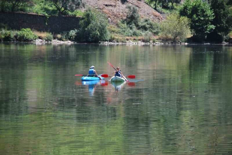 Pinhão: 4 Hour Douro Valley Kayak Rental - Why This Tour Offers Great Value