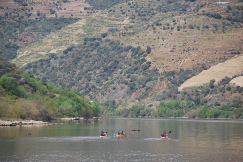 Pinhão: 4 Hour Douro Valley Kayak Rental - The Sum Up: Who Should Consider This Experience?