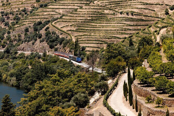 Pinhão: 4 hours Douro River Cruise with Lunch Included - Cost and Value
