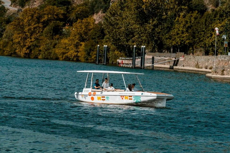 Pinhão: Douro River Solar Boat Tour with Wine Tasting - Possible Drawbacks or Considerations