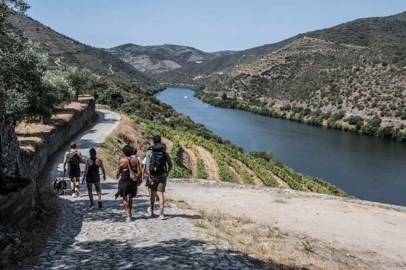 Pinhão: Douro Valley Guided Hike - Setting the Scene: The Heart of Portugal’s Wine Country