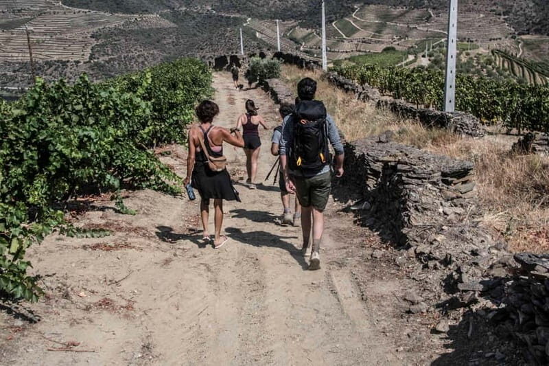 Pinhão: Douro Valley Guided Hike - What Makes This Tour Stand Out?