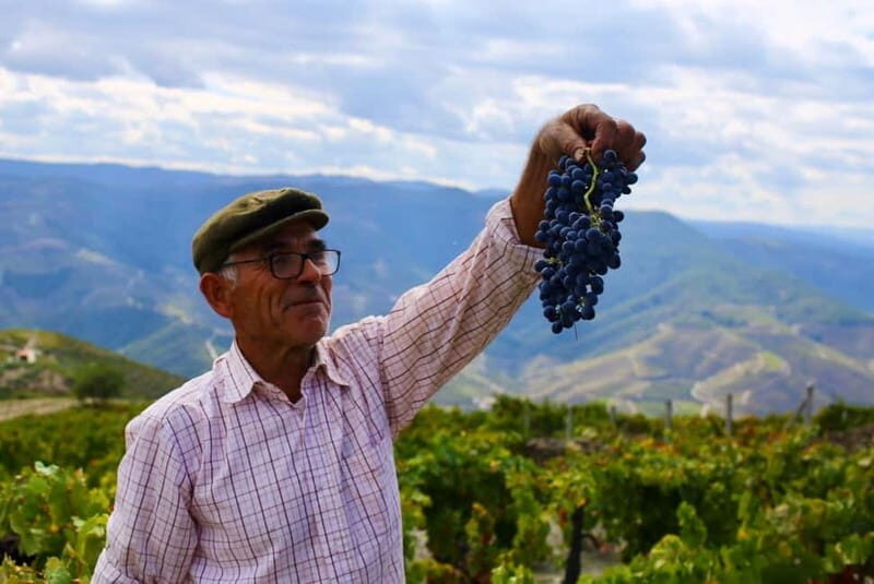Pinhão: Douro Valley Guided Hike - Authentic Experiences from Past Travelers