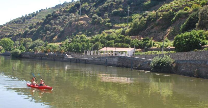 Pinhão: Douro Valley Rabelo Boat Tour and Kayak Experience - Who Will Love This Tour?