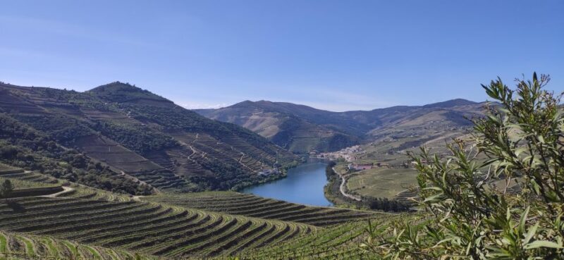 Pinhão: Douro Valley with Wine Tasting, Boat Trip and Lunch - Analyzing the Value
