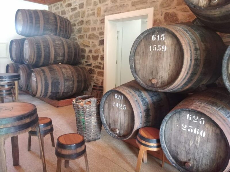 Pinhão: Douro Valley with Wine Tasting, Boat Trip and Lunch - Who Will Love This Tour?