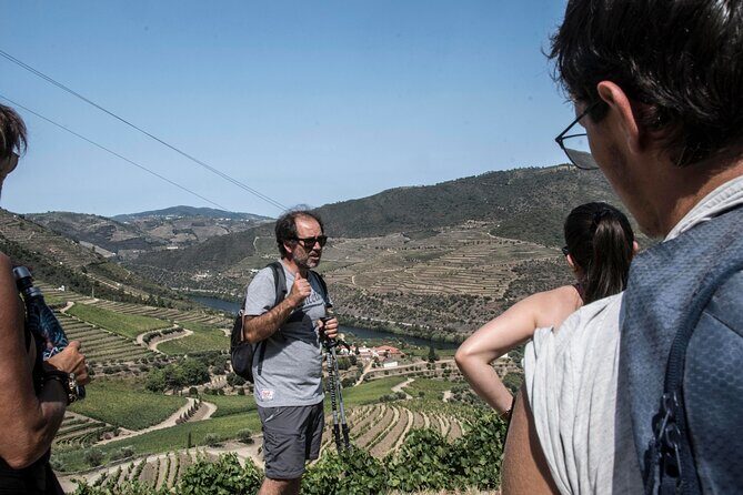 Pinhão Hiking Tour - An In-Depth Look at the Pinhão Hiking Tour