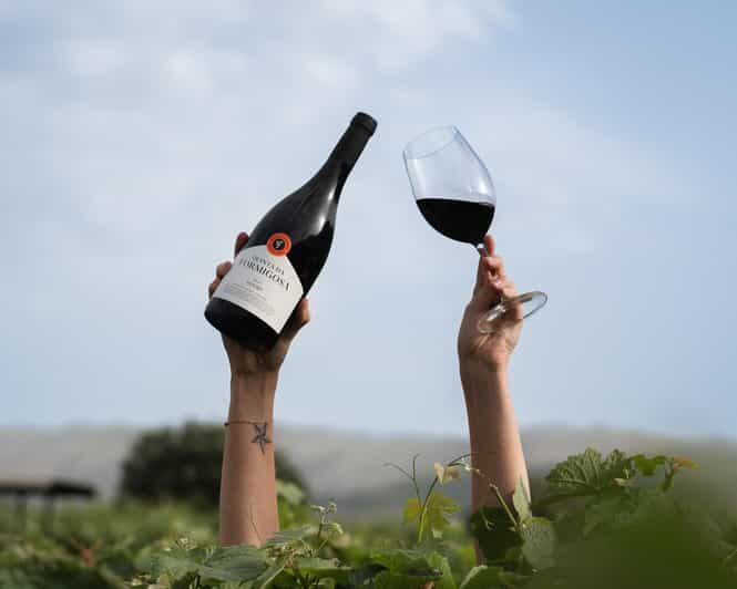 Pinhão: Quinta da Formigosa Vineyard Tour and Wine Tasting - A Closer Look at the Itinerary