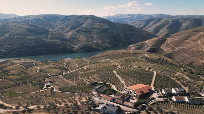 Pinhão: Quinta da Formigosa Vineyard Tour and Wine Tasting - Who Should Consider This Tour?