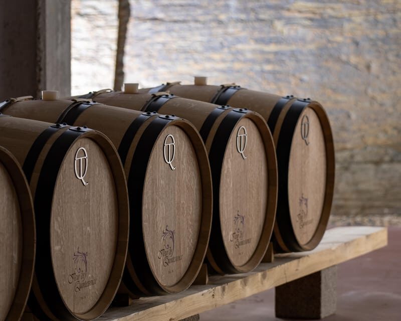 Pinhão: Quinta da Formigosa Vineyard Tour and Wine Tasting - Final Thoughts