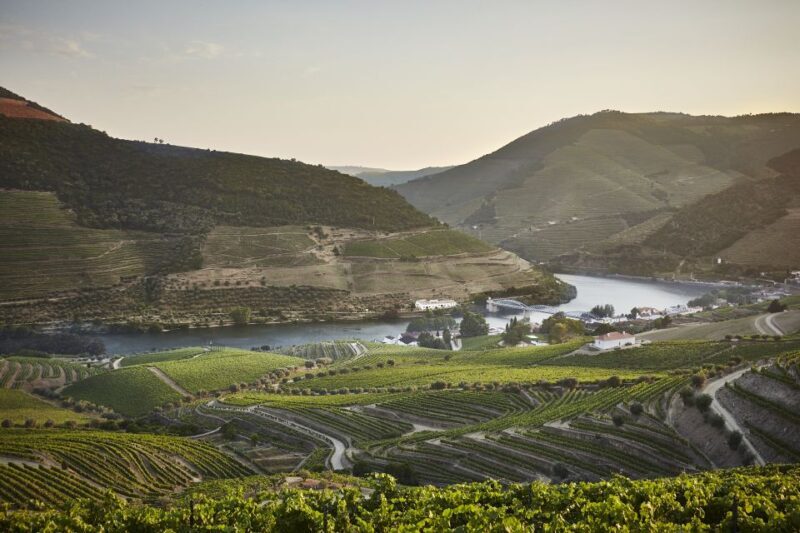 Pinhão: Quinta do Bomfim Visit and Tasting - Key Points