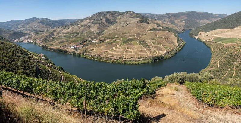 Pinhão: Rabelo Boat Cruise with a Port Tasting at a Winery - Final Thoughts