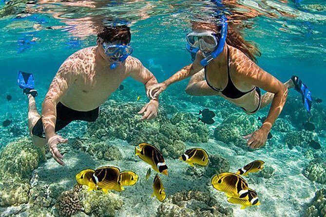 Pink Beach Lombok Snorkeling Tour - Key Points