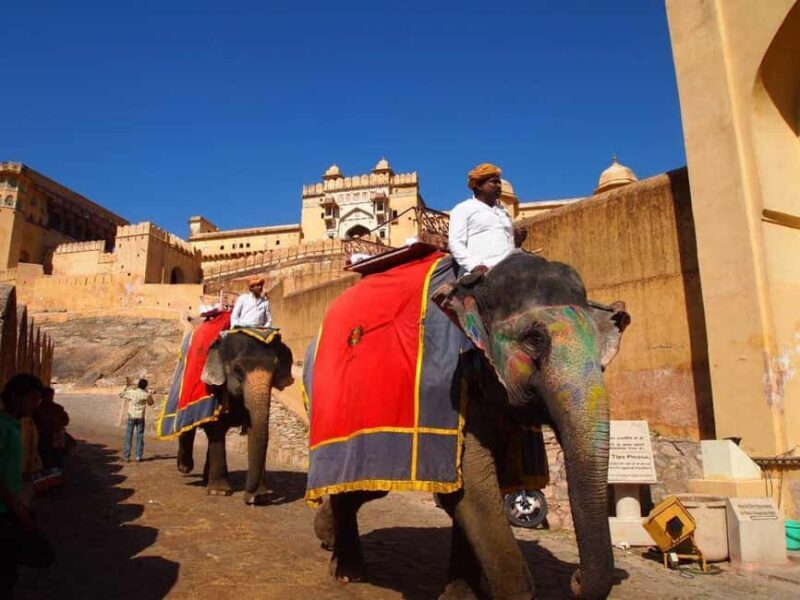 Pink City of Rajasthan, Jaipur Exclusive Tour (02 Days) - Pink City of Rajasthan, Jaipur Exclusive Tour (2 Days)