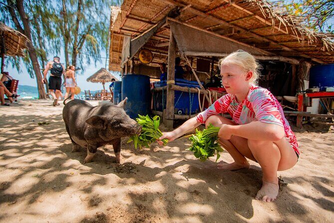 Pink Dolphin and Pig Island Snorkeling Tour from Koh Samui - Key Points