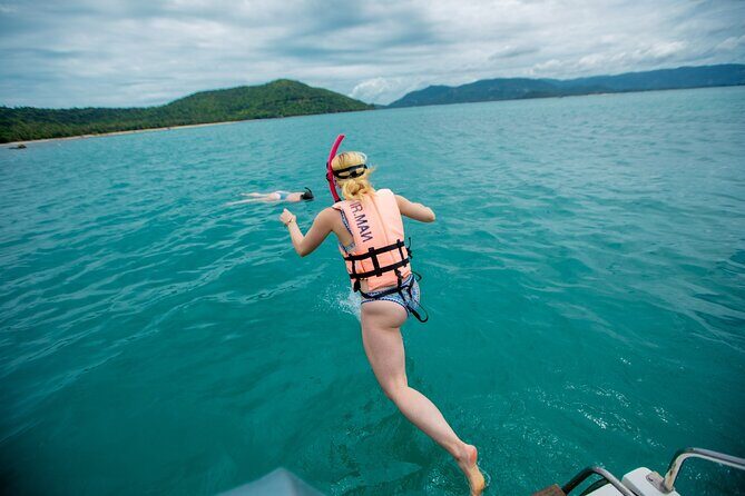 Pink Dolphin and Pig Island Snorkeling Tour from Koh Samui - Final Thoughts