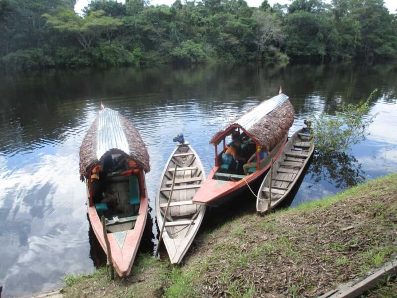 Pink dolphins,3 days 2 nights pacaya samiria - Diving into the Amazon: A Detailed Review of the 3-Day Pink Dolphin Tour
