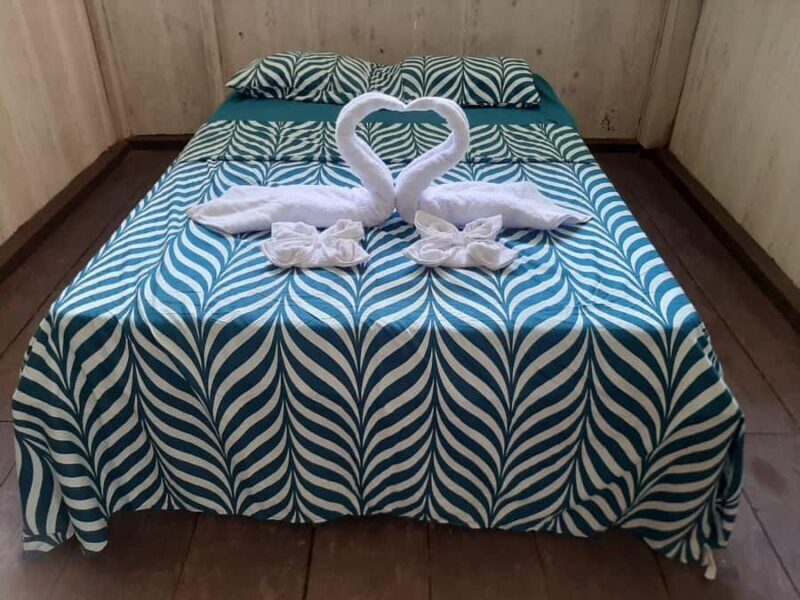 Pink dolphins,3 days 2 nights pacaya samiria - Practical Tips for Your Jungle Adventure