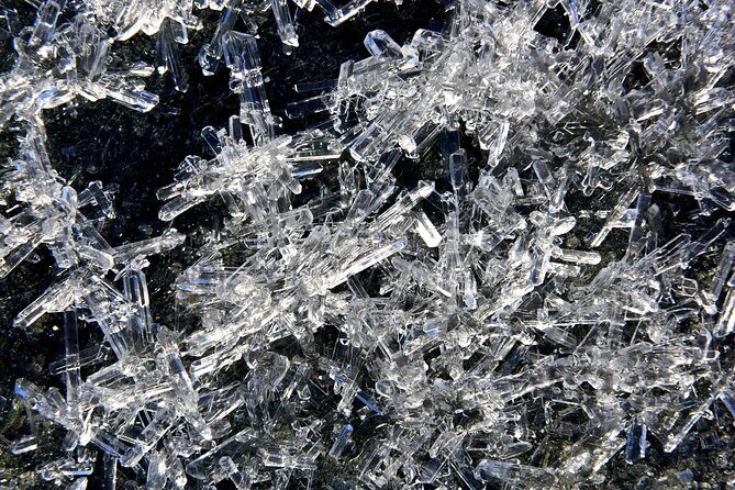 Pink Lake & Giant Salt Crystals  Great Salt Lake Adventure - An In-Depth Look at the Great Salt Lake Adventure