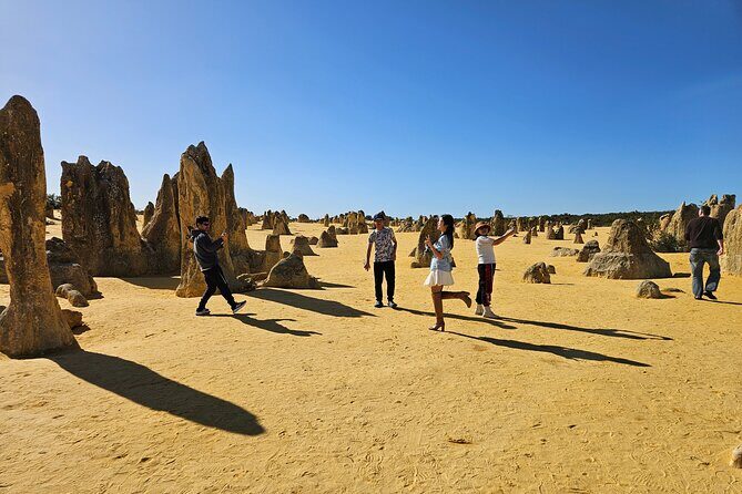 Pinnacle Day Adventure Tour - Exploring the Pinnacle Day Adventure Tour: A Deep Dive into Western Australia’s Hidden Gems