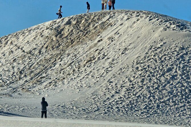 Pinnacle Day Adventure Tour - The Bottom Line: Who Should Book This Tour?