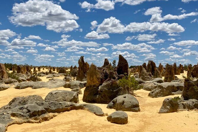 Pinnacles Day Tour - Pinnacles Day Tour: An Authentic Adventure into Western Australias Unique Landscapes