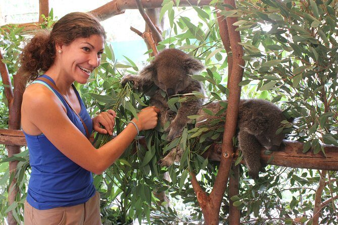 Pinnacles Desert, Koalas and Sandboarding 4WD Day Tour from Perth - Frequently Asked Questions