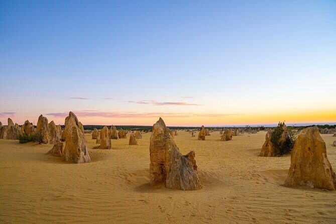 Pinnacles Desert Lobster Tour from Perth - Key Points