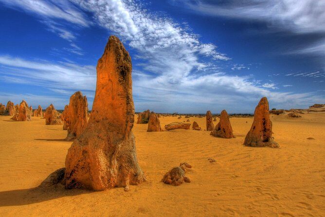 Pinnacles Desert & New Norcia Day Tour from Perth - A Deep Dive into the Tour Experience