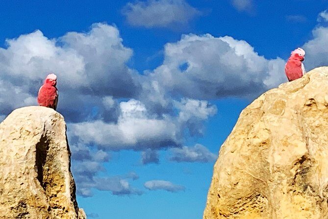 Pinnacles Desert Private Day Tour - Final Thoughts: A Value-Packed Day with Authentic Flair