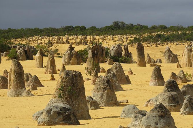 Pinnacles Desert Scenic Flight and Ground Tour - Discover the Pinnacles Desert from the Sky and on Land