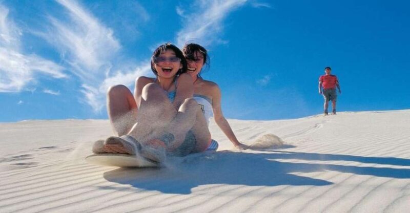 Pinnacles, Koalas & Sandboarding Tour Day Trip from Perth - A Closer Look at the Itinerary