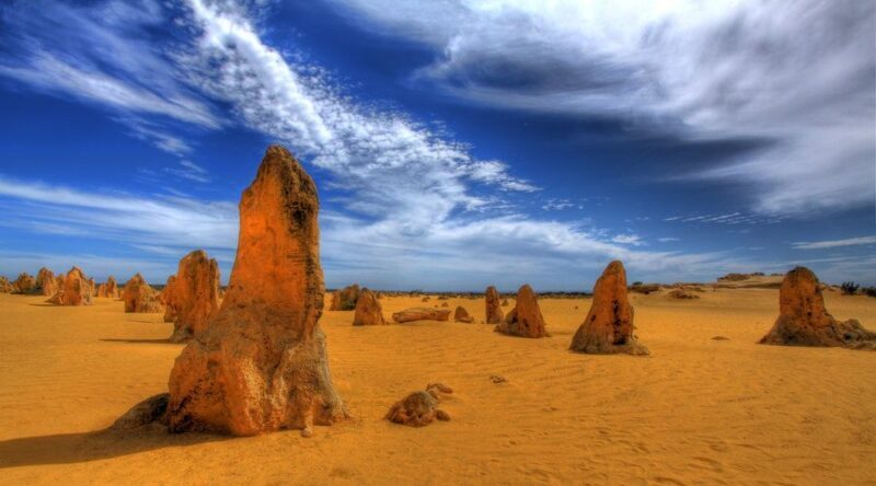 Pinnacles, Koalas & Sandboarding Tour Day Trip from Perth - Authentic Experiences and Travel Tips