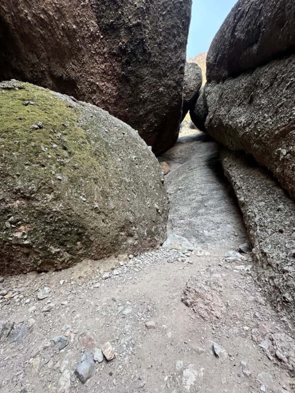 Pinnacles National Park Guided Hike. Your Choice of Trails - The Sum Up