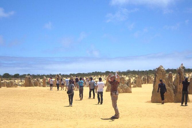 Pinnacles & Rottnest Island Scenic Air & Ground Tour - Key Points