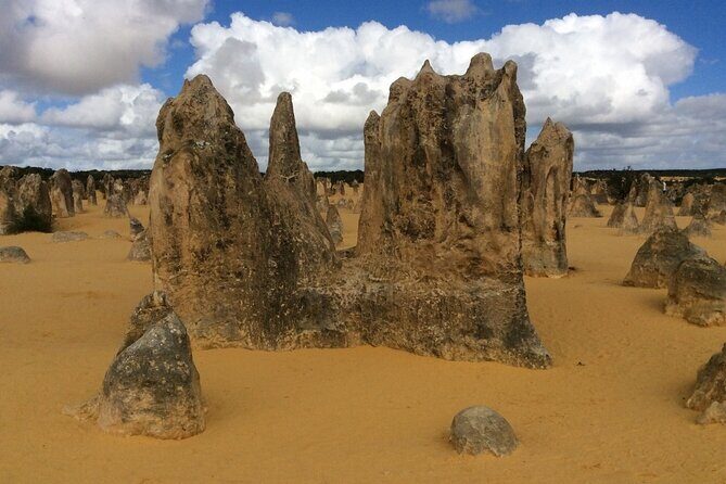 Pinnacles & Rottnest Island Scenic Air & Ground Tour - Final Words