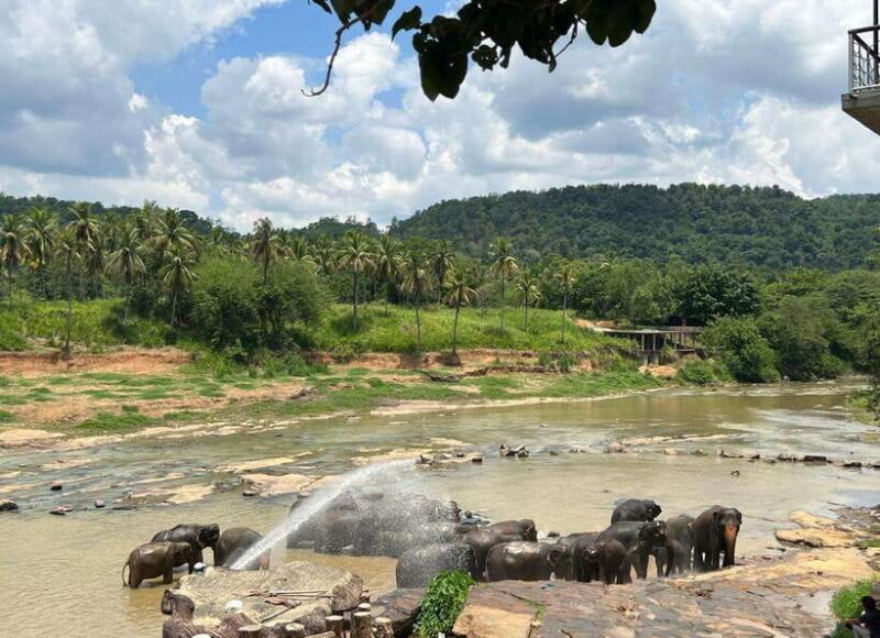 Pinnawala Day Tour from Kandy (Private tour ) - FAQ
