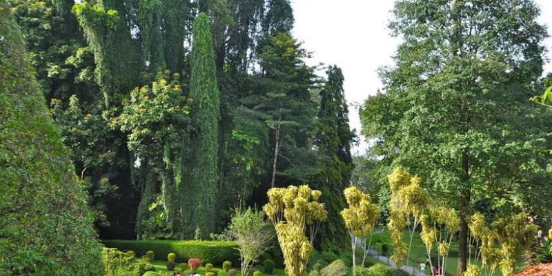 Pinnawala & Kandy Day Tour from Negombo - A Deep Dive into the Tour Experience