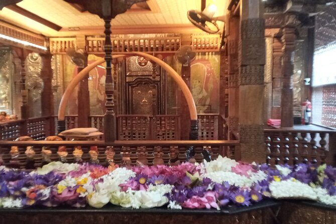 Pinnawala private day trip from colombo or negombo - Key Points