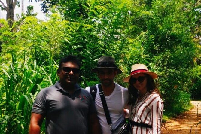 Pinnawala private day trip from colombo or negombo - An In-Depth Look at the Tour Experience