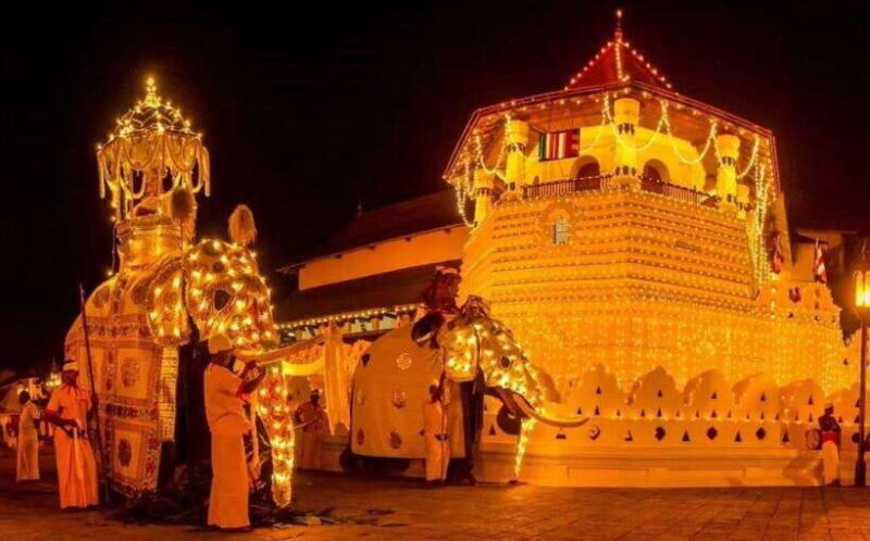 Pinnawala,Kandy Day Tour from Colombo/Negombo - Pinnawala, Kandy Day Tour from Colombo/Negombo